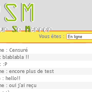 Site web Chat'PSM version ordinateur